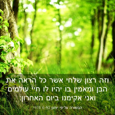 Picture 03 - הבשורה על־פי יוחנן 6:40 HEB - וזה רצון שלחי אשר כל הראה - Bible Verse Picture