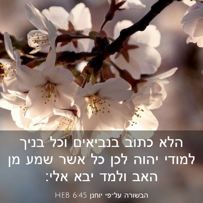 Picture 03 - הבשורה על־פי יוחנן 6:45 HEB - הלא כתוב בנביאים וכל בניך - Bible Verse Picture
