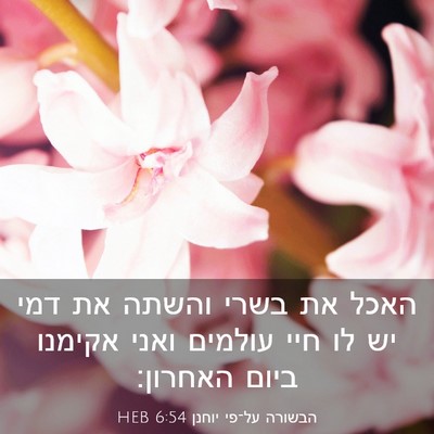 Picture 03 - הבשורה על־פי יוחנן 6:54 HEB - האכל את בשרי והשתה את דמי - Bible Verse Picture