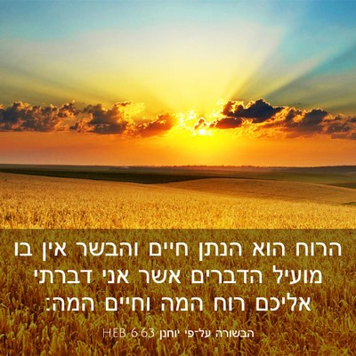 Picture 03 - הבשורה על־פי יוחנן 6:63 HEB - הרוח הוא הנתן חיים והבשר - Bible Verse Picture