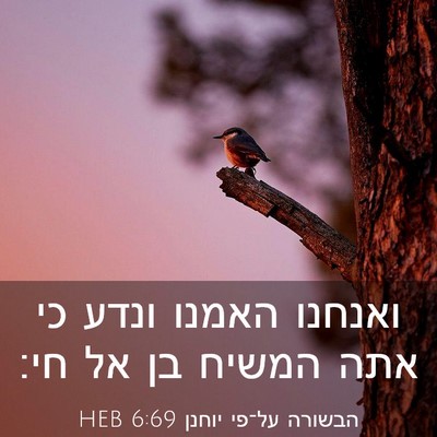 Picture 03 - הבשורה על־פי יוחנן 6:69 HEB - ואנחנו האמנו ונדע כי אתה - Bible Verse Picture