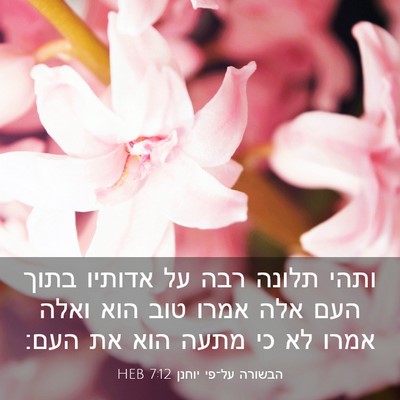 Picture 03 - הבשורה על־פי יוחנן 7:12 HEB - ותהי תלונה רבה על אדותיו - Bible Verse Picture