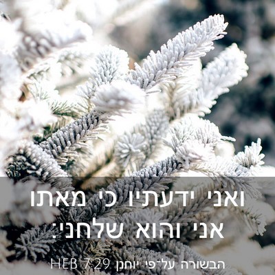 Picture 03 - הבשורה על־פי יוחנן 7:29 HEB - ואני ידעתיו כי מאתו אני - Bible Verse Picture