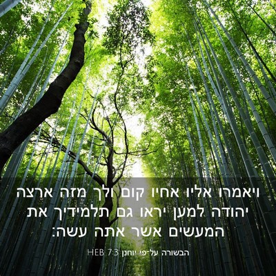 Picture 03 - הבשורה על־פי יוחנן 7:3 HEB - ויאמרו אליו אחיו קום ולך - Bible Verse Picture