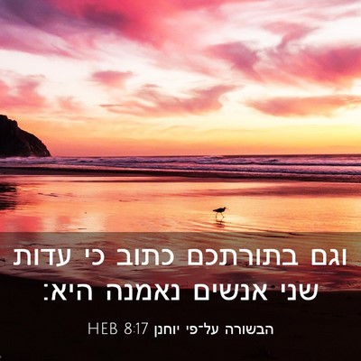 Picture 03 - הבשורה על־פי יוחנן 8:17 HEB - וגם בתורתכם כתוב כי עדות - Bible Verse Picture