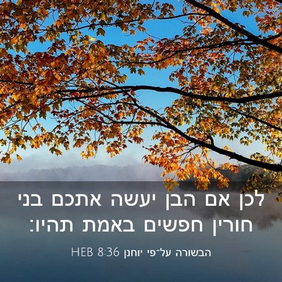 Picture 03 - הבשורה על־פי יוחנן 8:36 HEB - לכן אם הבן יעשה אתכם בני - Bible Verse Picture