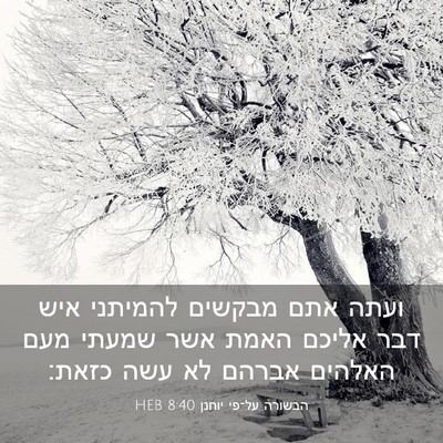 Picture 03 - הבשורה על־פי יוחנן 8:40 HEB - ועתה אתם מבקשים להמיתני - Bible Verse Picture