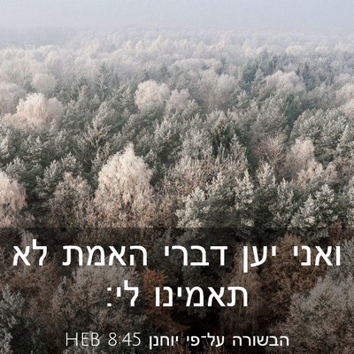 Picture 03 - הבשורה על־פי יוחנן 8:45 HEB - ואני יען דברי האמת לא - Bible Verse Picture