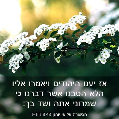 Picture 03 - הבשורה על־פי יוחנן 8:48 HEB - אז יענו היהודים ויאמרו - Bible Verse Picture