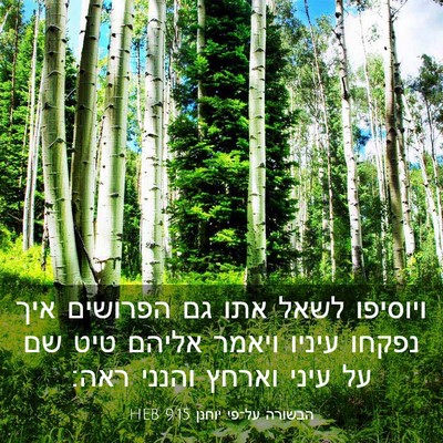 Picture 03 - הבשורה על־פי יוחנן 9:15 HEB - ויוסיפו לשאל אתו גם - Bible Verse Picture