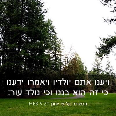 Picture 03 - הבשורה על־פי יוחנן 9:20 HEB - ויענו אתם יולדיו ויאמרו - Bible Verse Picture