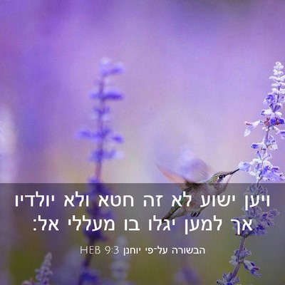 Picture 03 - הבשורה על־פי יוחנן 9:3 HEB - ויען ישוע לא זה חטא ולא - Bible Verse Picture