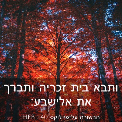 Picture 03 - הבשורה על־פי לוקס 1:40 HEB - ותבא בית זכריה ותברך את - Bible Verse Picture