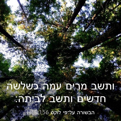 Picture 03 - הבשורה על־פי לוקס 1:56 HEB - ותשב מרים עמה כשלשה חדשים - Bible Verse Picture