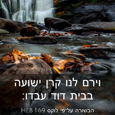 Picture 03 - הבשורה על־פי לוקס 1:69 HEB - וירם לנו קרן ישועה בבית דוד - Bible Verse Picture