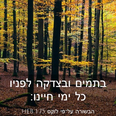 Picture 03 - הבשורה על־פי לוקס 1:75 HEB - בתמים ובצדקה לפניו כל ימי - Bible Verse Picture