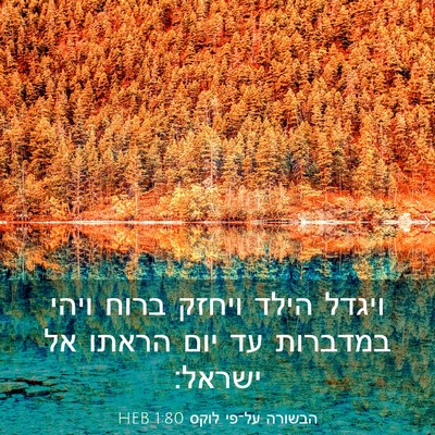 Picture 03 - הבשורה על־פי לוקס 1:80 HEB - ויגדל הילד ויחזק ברוח ויהי - Bible Verse Picture