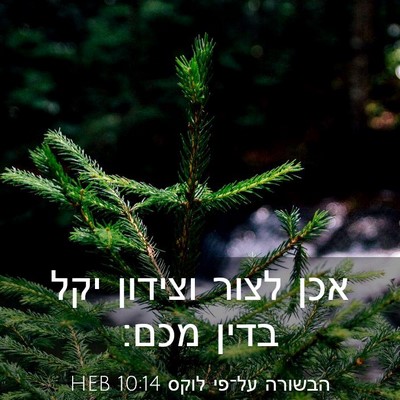 Picture 03 - הבשורה על־פי לוקס 10:14 HEB - אכן לצור וצידון יקל בדין - Bible Verse Picture