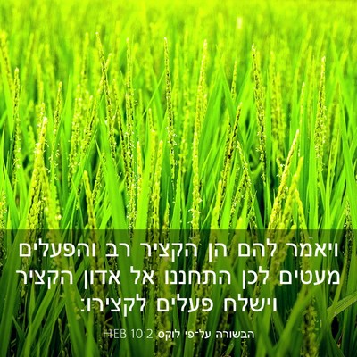 Picture 03 - הבשורה על־פי לוקס 10:2 HEB - ויאמר להם הן הקציר רב - Bible Verse Picture