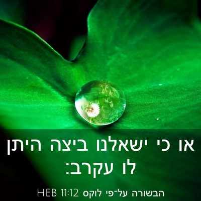 Picture 03 - הבשורה על־פי לוקס 11:12 HEB - או כי ישאלנו ביצה היתן לו - Bible Verse Picture