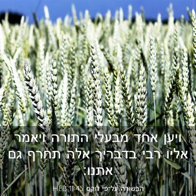 Picture 03 - הבשורה על־פי לוקס 11:45 HEB - ויען אחד מבעלי התורה ויאמר - Bible Verse Picture