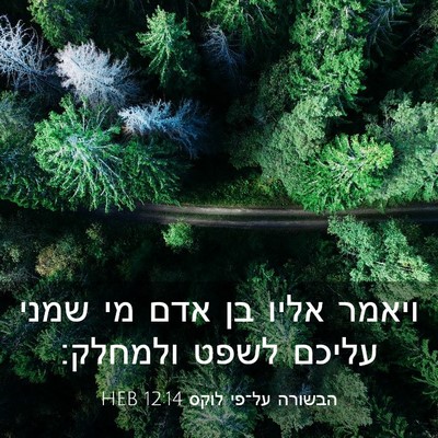 Picture 03 - הבשורה על־פי לוקס 12:14 HEB - ויאמר אליו בן אדם מי שמני - Bible Verse Picture