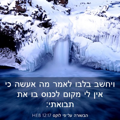 Picture 03 - הבשורה על־פי לוקס 12:17 HEB - ויחשב בלבו לאמר מה אעשה כי - Bible Verse Picture