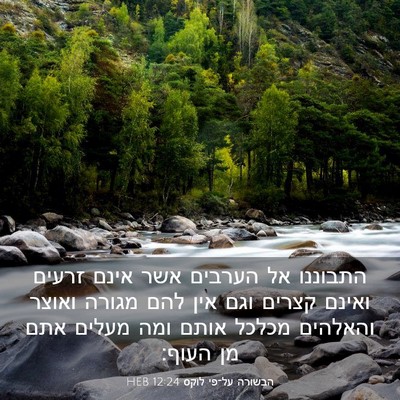 Picture 03 - הבשורה על־פי לוקס 12:24 HEB - התבוננו אל הערבים אשר אינם - Bible Verse Picture