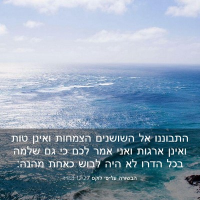 Picture 03 - הבשורה על־פי לוקס 12:27 HEB - התבוננו אל השושנים הצמחות - Bible Verse Picture
