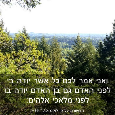 Picture 03 - הבשורה על־פי לוקס 12:8 HEB - ואני אמר לכם כל אשר יודה בי - Bible Verse Picture