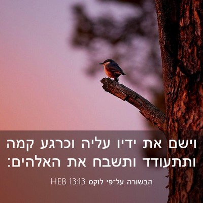 Picture 03 - הבשורה על־פי לוקס 13:13 HEB - וישם את ידיו עליה וכרגע קמה - Bible Verse Picture