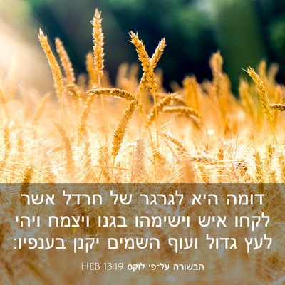 Picture 03 - הבשורה על־פי לוקס 13:19 HEB - דומה היא לגרגר של חרדל אשר - Bible Verse Picture