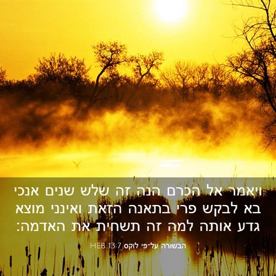 Picture 03 - הבשורה על־פי לוקס 13:7 HEB - ויאמר אל הכרם הנה זה שלש - Bible Verse Picture