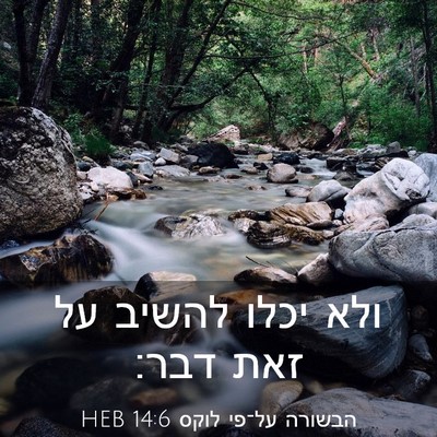 Picture 03 - הבשורה על־פי לוקס 14:6 HEB - ולא יכלו להשיב על זאת - Bible Verse Picture