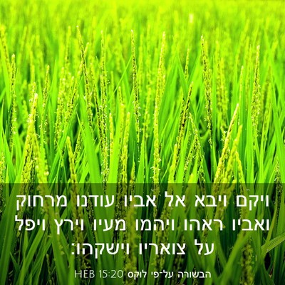 Picture 03 - הבשורה על־פי לוקס 15:20 HEB - ויקם ויבא אל אביו עודנו - Bible Verse Picture