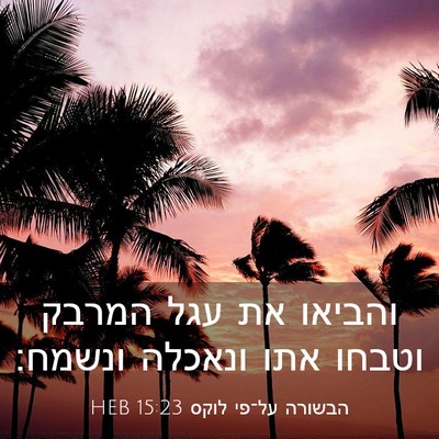 Picture 03 - הבשורה על־פי לוקס 15:23 HEB - והביאו את עגל המרבק וטבחו - Bible Verse Picture