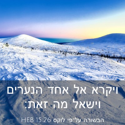 Picture 03 - הבשורה על־פי לוקס 15:26 HEB - ויקרא אל אחד הנערים וישאל - Bible Verse Picture