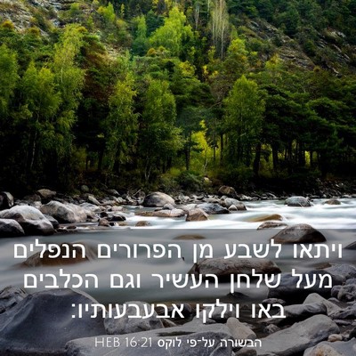 Picture 03 - הבשורה על־פי לוקס 16:21 HEB - ויתאו לשבע מן הפרורים - Bible Verse Picture