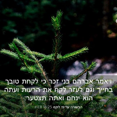 Picture 03 - הבשורה על־פי לוקס 16:25 HEB - ויאמר אברהם בני זכר כי לקחת - Bible Verse Picture