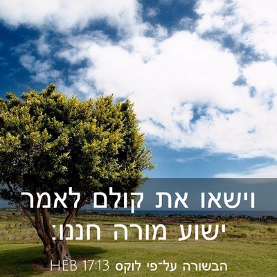 Picture 03 - הבשורה על־פי לוקס 17:13 HEB - וישאו את קולם לאמר ישוע - Bible Verse Picture