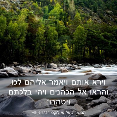 Picture 03 - הבשורה על־פי לוקס 17:14 HEB - וירא אותם ויאמר אליהם לכו - Bible Verse Picture
