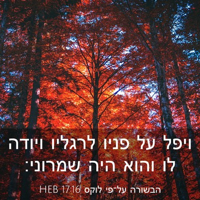 Picture 03 - הבשורה על־פי לוקס 17:16 HEB - ויפל על פניו לרגליו ויודה - Bible Verse Picture