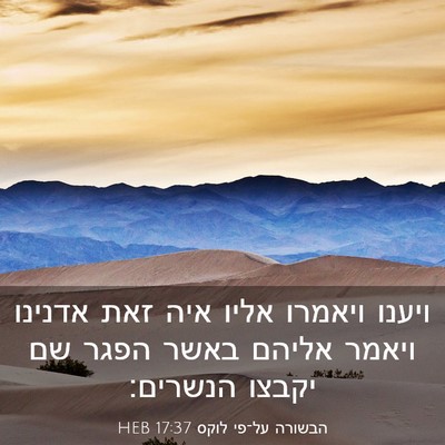 Picture 03 - הבשורה על־פי לוקס 17:37 HEB - ויענו ויאמרו אליו איה זאת - Bible Verse Picture