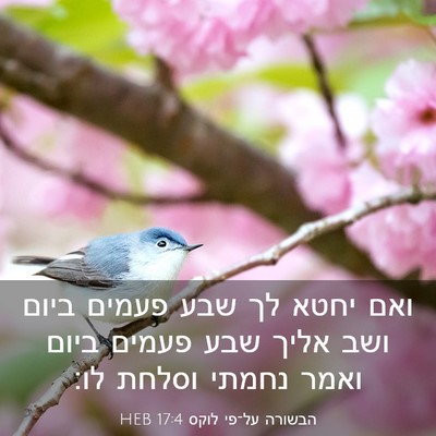 Picture 03 - הבשורה על־פי לוקס 17:4 HEB - ואם יחטא לך שבע פעמים ביום - Bible Verse Picture