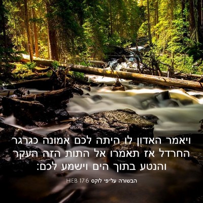 Picture 03 - הבשורה על־פי לוקס 17:6 HEB - ויאמר האדון לו היתה לכם - Bible Verse Picture