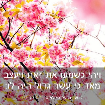 Picture 03 - הבשורה על־פי לוקס 18:23 HEB - ויהי כשמעו את זאת ויעצב מאד - Bible Verse Picture