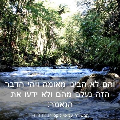 Picture 03 - הבשורה על־פי לוקס 18:34 HEB - והם לא הבינו מאומה ויהי - Bible Verse Picture