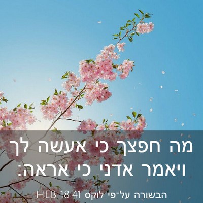 Picture 03 - הבשורה על־פי לוקס 18:41 HEB - מה חפצך כי אעשה לך ויאמר - Bible Verse Picture
