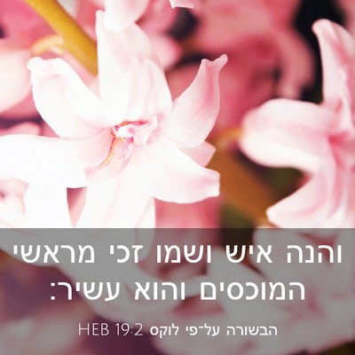 Picture 03 - הבשורה על־פי לוקס 19:2 HEB - והנה איש ושמו זכי מראשי - Bible Verse Picture