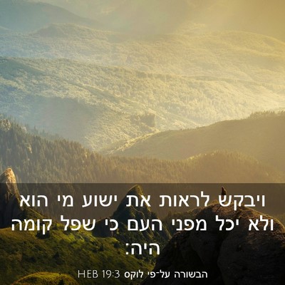 Picture 03 - הבשורה על־פי לוקס 19:3 HEB - ויבקש לראות את ישוע מי הוא - Bible Verse Picture